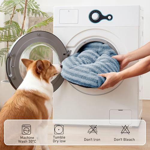 Washable Small Dog Bed (Blue / 23.0"l x 18.0"w x 3"th)