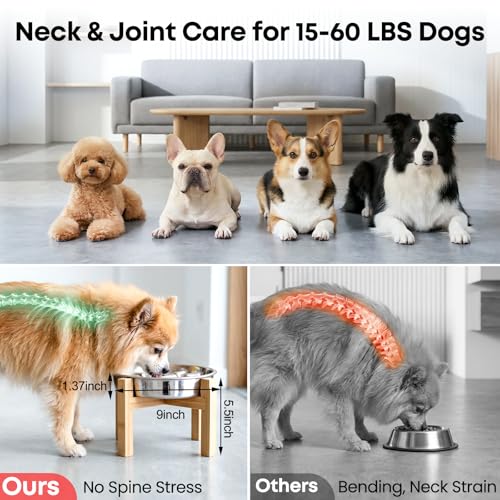 Elevated Slow Feeder Dog Bowls 2 Cups for 15