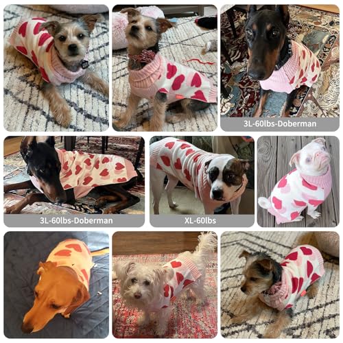Valentines Dog Sweater (Large (11-19lbs) / Valentine)