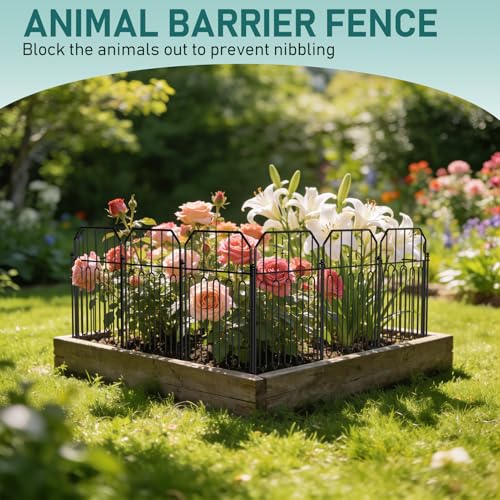Garden Fence Total 25ft (Square arch with Curved)