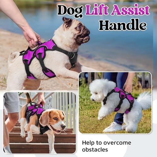Escape Proof Dog Harness for Small (Purple / Small)