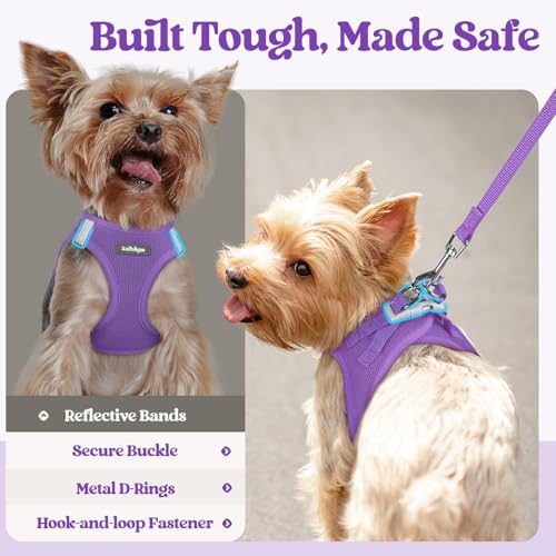 Dog Harness Small Sized and Leash Set (Purple / Xxxs (chest: 10.8 - 11.8"))