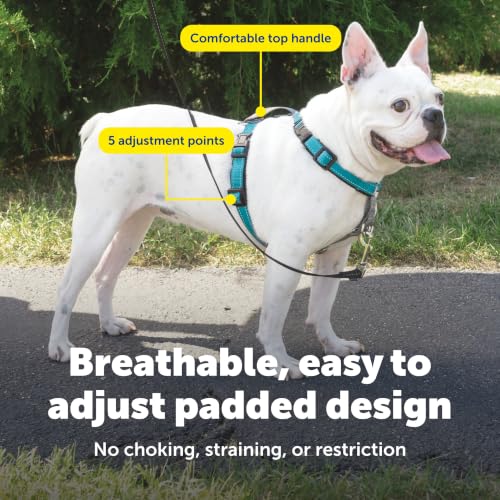 Easy Walk 3 in 1 No Pull Dog Harness (Teal / Small (Pack of 1))