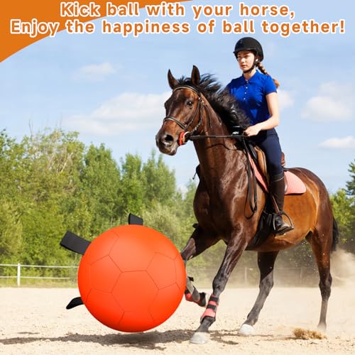 Herding Ball for Dogs (Herding Ball / 25 Inch)
