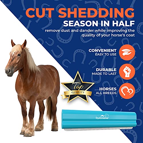 8 Inch Deshedding Brush for Dogs & Horses (Turquoise)