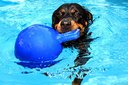 Tug-n-Toss Heavy Duty Dog Toy Ball with Handle, 4.5 Inches/Small, Blueberry, JP445BLUEBERRY (Blueberry / Small (4.5 in))
