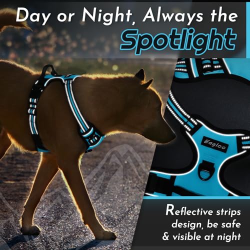 Dog Harness for Large Dogs (X-large / Sky Blue)