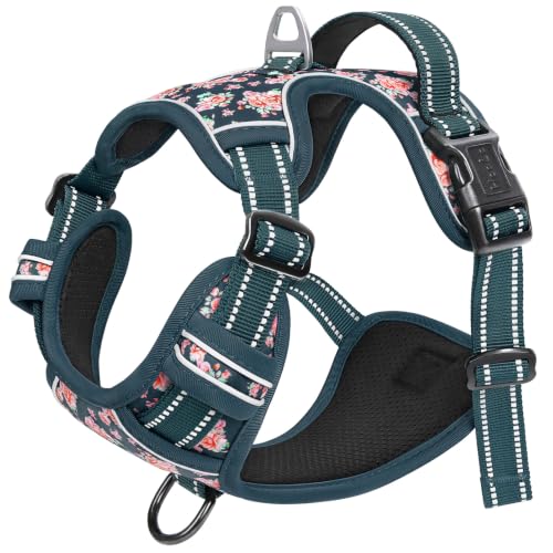 Dog Harness Reflective (XL / Flower Blackish Green)