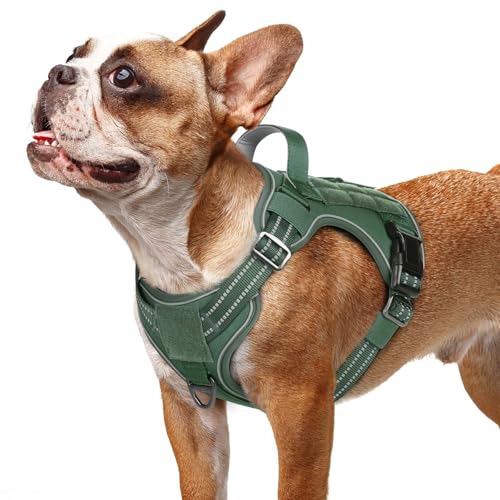 Tactical Dog Harness for Small Dogs (S(Chest:16.1"-31.5",Neck:15.4"-21.6",Back:7.1") / Green)