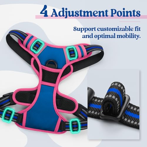 Dog Harness No Pull Medium Sized with 2 Leash Clips (Medium / Blue & Hot Pink)
