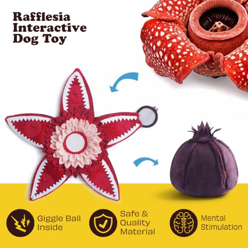 Hide and Seek Plush Dog Toys (Rafflesia)