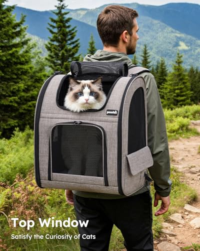 Cat Backpack Expandable (Brown / 15.4"L x 11.0"W x 19.0"H)