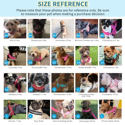 No Pull Small Dog Harness and Leash Set with Front Clip (XX-Small / Fuchsia)
