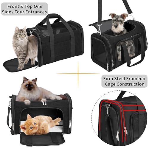 Soft Sided Cat (BLACK / 17"L x 11"W x 11"H)