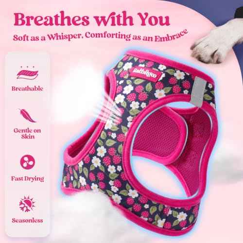 Dog Harness Small Sized and Leash Set (Pink Berry / S (chest: 15.1 - 16.5"))