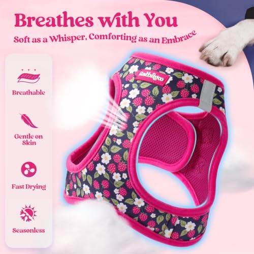 Dog Harness Small Sized and Leash Set (Pink Berry / Xs (chest: 13.3 - 15.5"))
