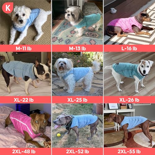 Reflective Dog Shirt (Small (4-7lbs) / 3#Coral Red)