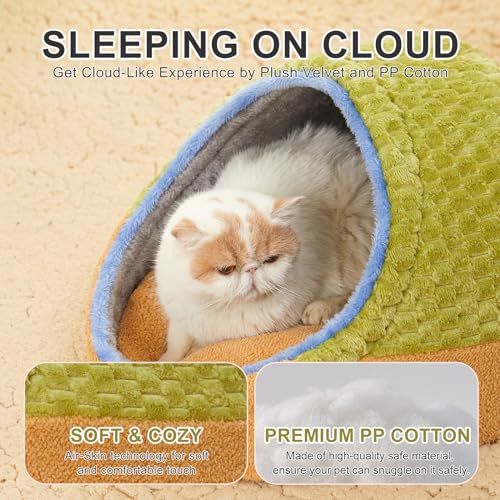 Cute Cat Beds for Indoor Cats (Medium / Green)