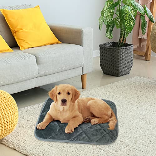 Self Warming Cat Bed Indoor (Small 21.6 x 15.7 inch / Gray)