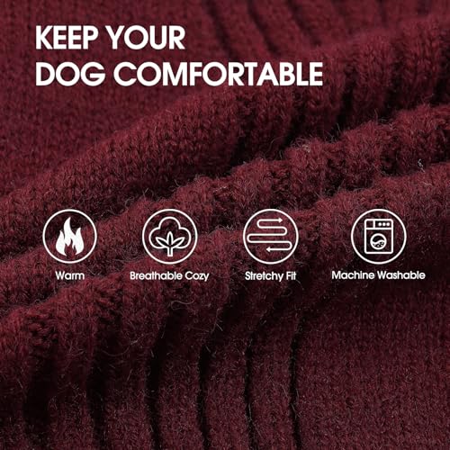 Great Dane Sweater (Wine-Red / XXXXX-Large)