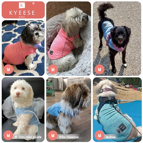 2Pack Reflective Dog Shirt (Medium (7-13lbs) / 7# 2Pack (Lake Blue+Blue))