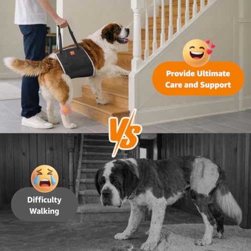 Dog Sling for Extra Large Dogs Hind Leg Support Weak Rear Leg Aid (Black / XX-Large)