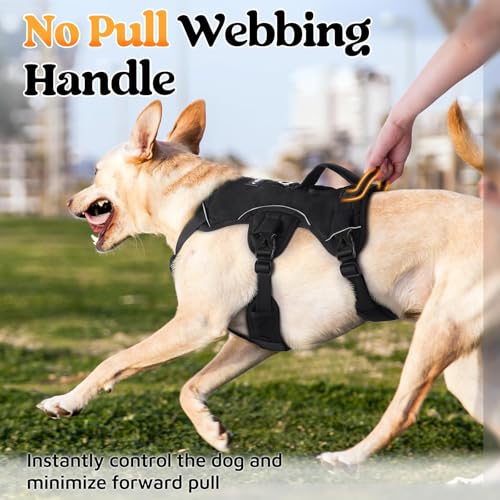 Escape Proof Dog Harness for Medium (Black / Medium)