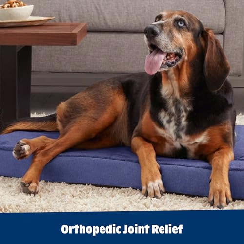 Orthopedic Dog Bed (Navy / Small)