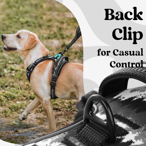 Dog Harness for Large (Large / Mountain Black)