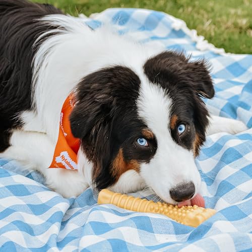Power Chew Textured Bone Dog Toy (X-Large)