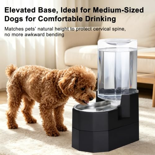 7L Raised Dog Water Dispenser (Black / 7L Raised)
