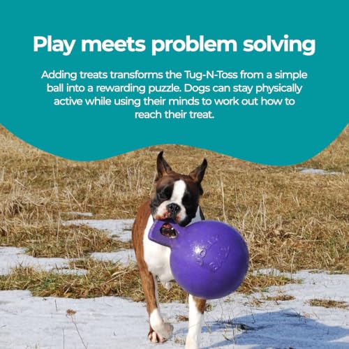 Tug-n-Toss Heavy Duty Dog Toy Ball with Handle, 8 Inches/Large, Purple (Purple / Large (8 in))