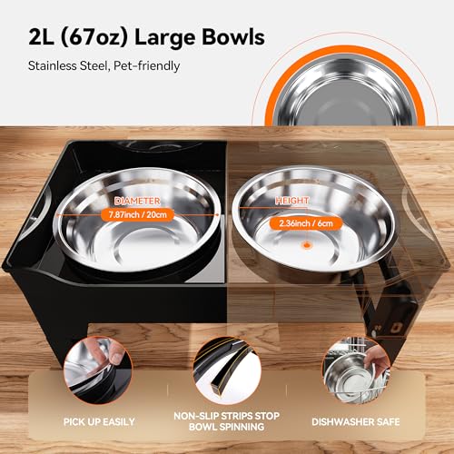 Elevated Dog Bowls