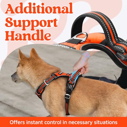 Dog Harness Small Sized (Orange / Small)