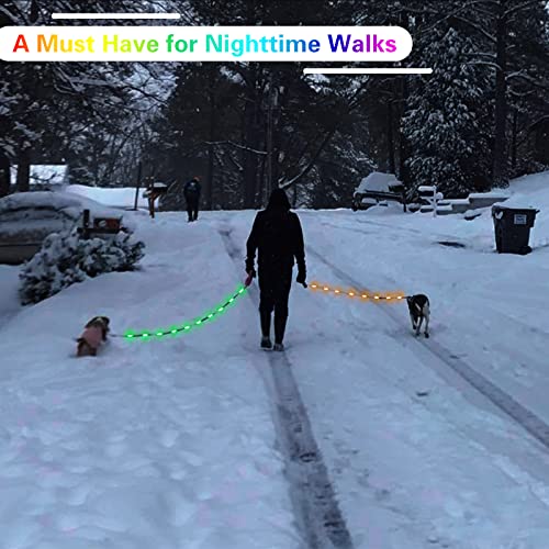 USB Rechargeable LED Dog Leash