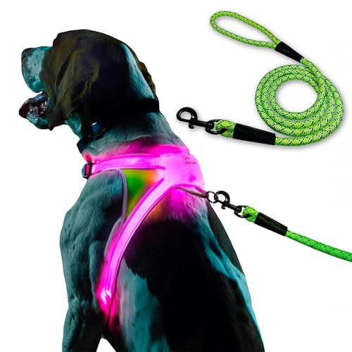 LightHound Light Up Reflective Dog Harness and Leash (X-Large)