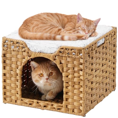 Cat Beds Indoor Kitten House (Natural / Rectangle-M)