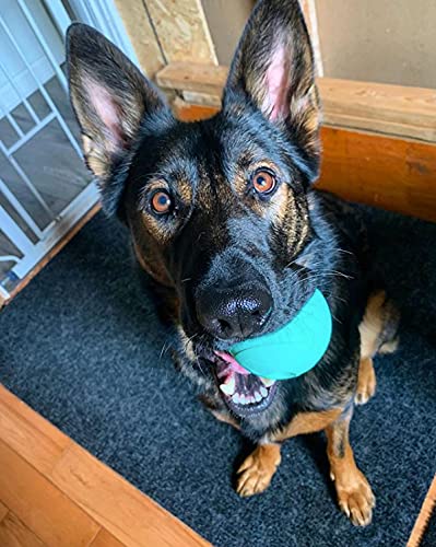 Fetch Balls Extremely Durable Natural Rubber Toy 4 inch (2-Pack (4" Balls))
