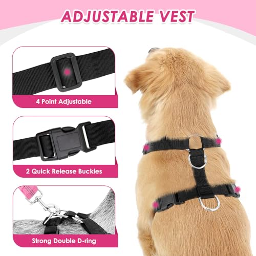 Dog Car Harness Seat Belt (XXX-Small / Rose)