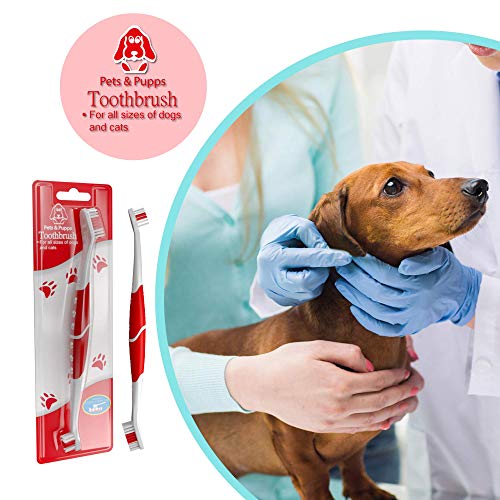 Pet Toothbrush for Dogs (Pack of 2(red))