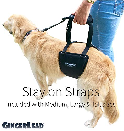 Dog Support Sling Rear Harness (Large - Female)