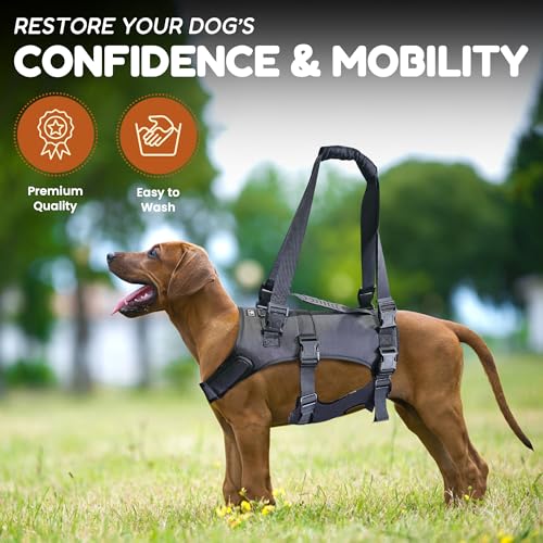 Dog Lift Harness (Medium)