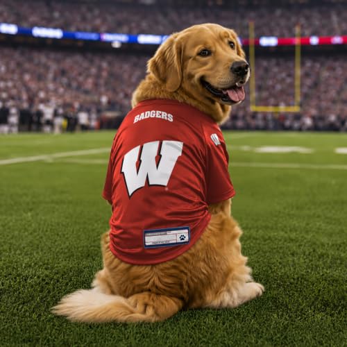 NCAA Wisconsin Badgers Stretch Pet Jersey (Wisconsin Badgers / Large)
