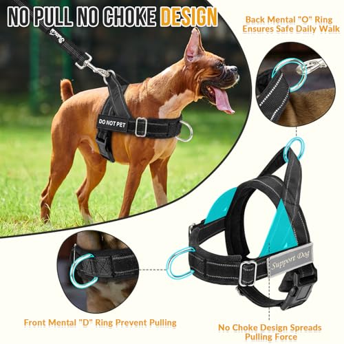 No Pull Dog Harness and Leash Set (Black / X-Large)