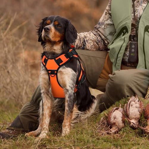 Orange Tactical Dog Harness for Medium Dogs (Orange / Medium: 30-50 lbs (Chest:24-28",Neck:17-19"))