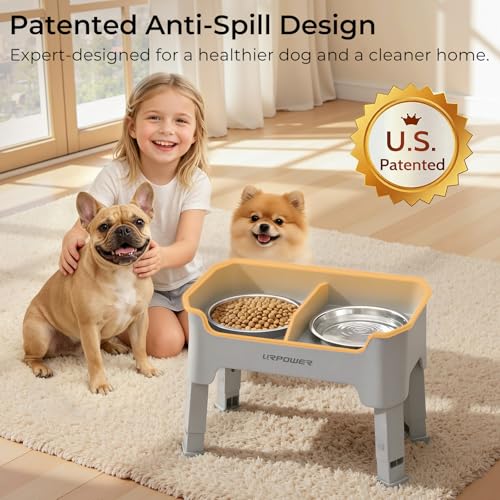 Mess Proof Elevated Dog Bowls for Small Dogs with Splash Guard (Light Grey / Small)