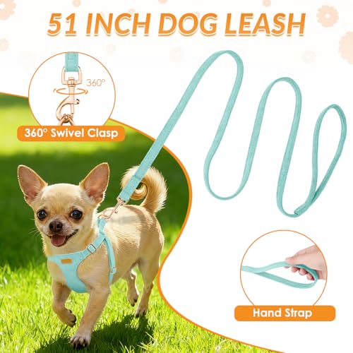 No Pull Dog Harness with Leash for Small Medium Dogs (XX-Small(2.2-6lb) / Solid Teal)