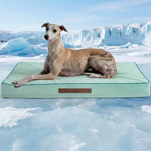 Cooling Dog Bed for Large Dogs (Light Aqua / 36''x27''x3'')
