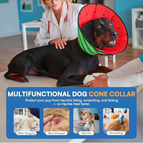 Dog Cone Cone for Dogs to Stop Licking (M / Watermelon)