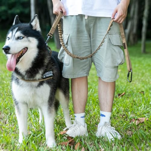 Tactical Military Bungee Nylon Dog Leash Adjustable (Coyote Brown)